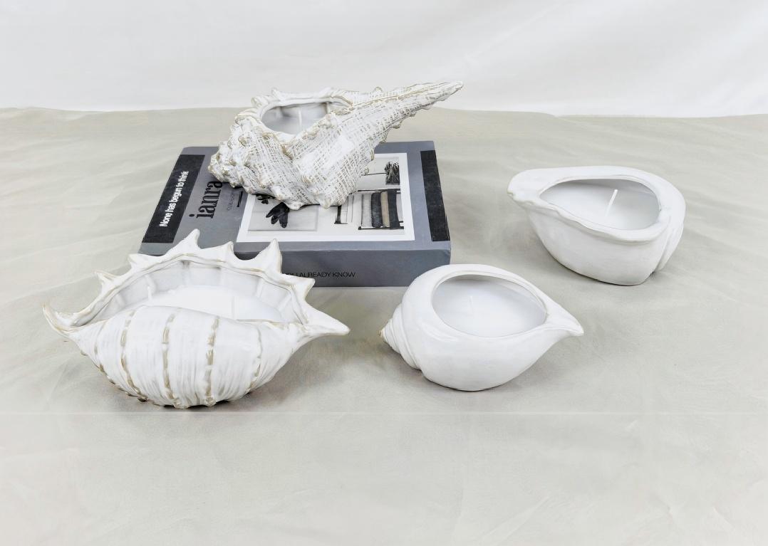 Şamdan bir çox formada olur. Heç bir dəniz şəklində bir şəkil görmüsünüzmü?